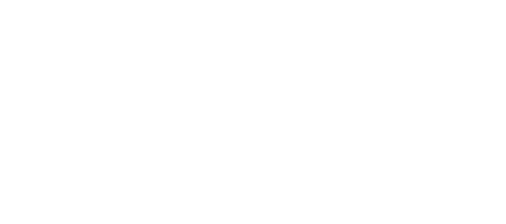 MSP Logo